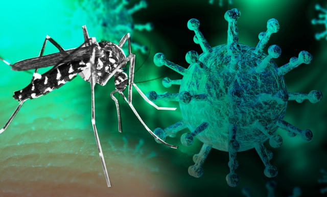 Detectan el primer caso de dengue y Covid-19 al mismo tiempo