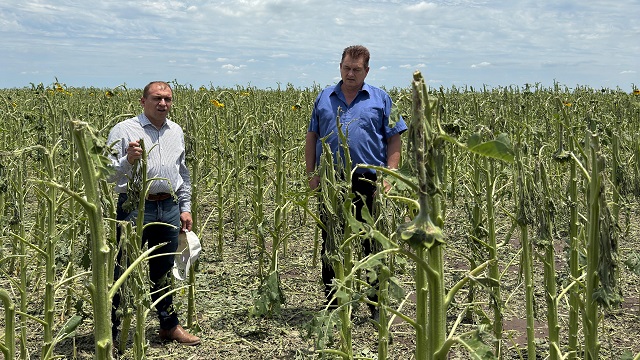 EL MINISTERIO DE LA PRODUCCIÓN RELEVÓ LOS DAÑOS POR LA TORMENTA EN HERMOSO CAMPO Y EN MESÓN DE FIERRO