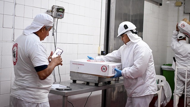 HIST&Oacute;RICA PRIMERA EXPORTACI&Oacute;N DE OVINOS CHAQUE&Ntilde;OS CON DESTINO A OM&Aacute;N (ASIA)