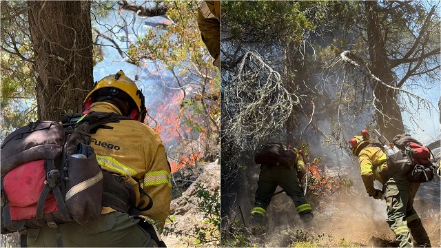 El Gobierno Nacional despleg&oacute; casi 300 brigadistas y 15 medios a&eacute;reos por los incendios en el sur