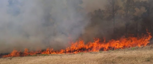 Establecen multas con arrestos de 60 días o 1 millón de pesos por los incendios en Chaco