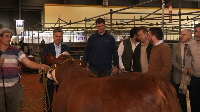 Ganader&iacute;a, Producci&oacute;n y Exportaci&oacute;n: Chaco muestra su crecimiento en la Expo Rural de Palermo