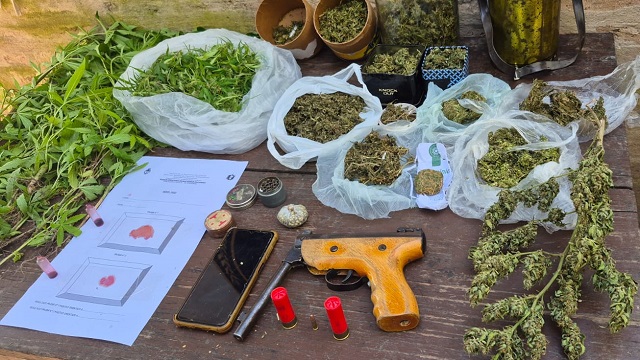 Villa &Aacute;ngela: Desbaratan centro de venta y lugar de acopio y distribuci&oacute;n de marihuana  