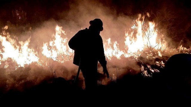 Incendios forestales: "Entre 70 y 80 por ciento son intencionales", dijo Sargenti