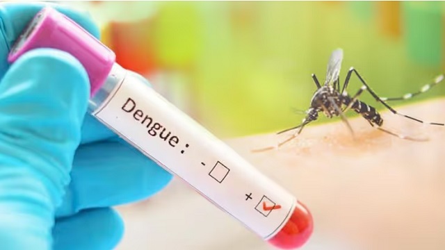 Dengue en la Argentina: con más de 333 mil infectados, ya son 238 los fallecidos