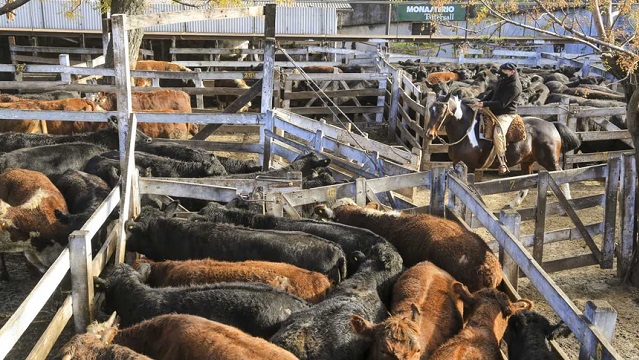 Pol&eacute;mica entre el Gobierno y productores de carne por una iniciativa de Sturzenegger