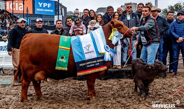 Orgullo Chaque&ntilde;o en Palermo: Caba&ntilde;as de la Provincia brillaron en la Exposici&oacute;n Rural con importantes premios