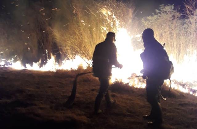 Enrique Urien: Cerca de 700 hectáres de un campo de "La Viruela" arrasadas por el fuego