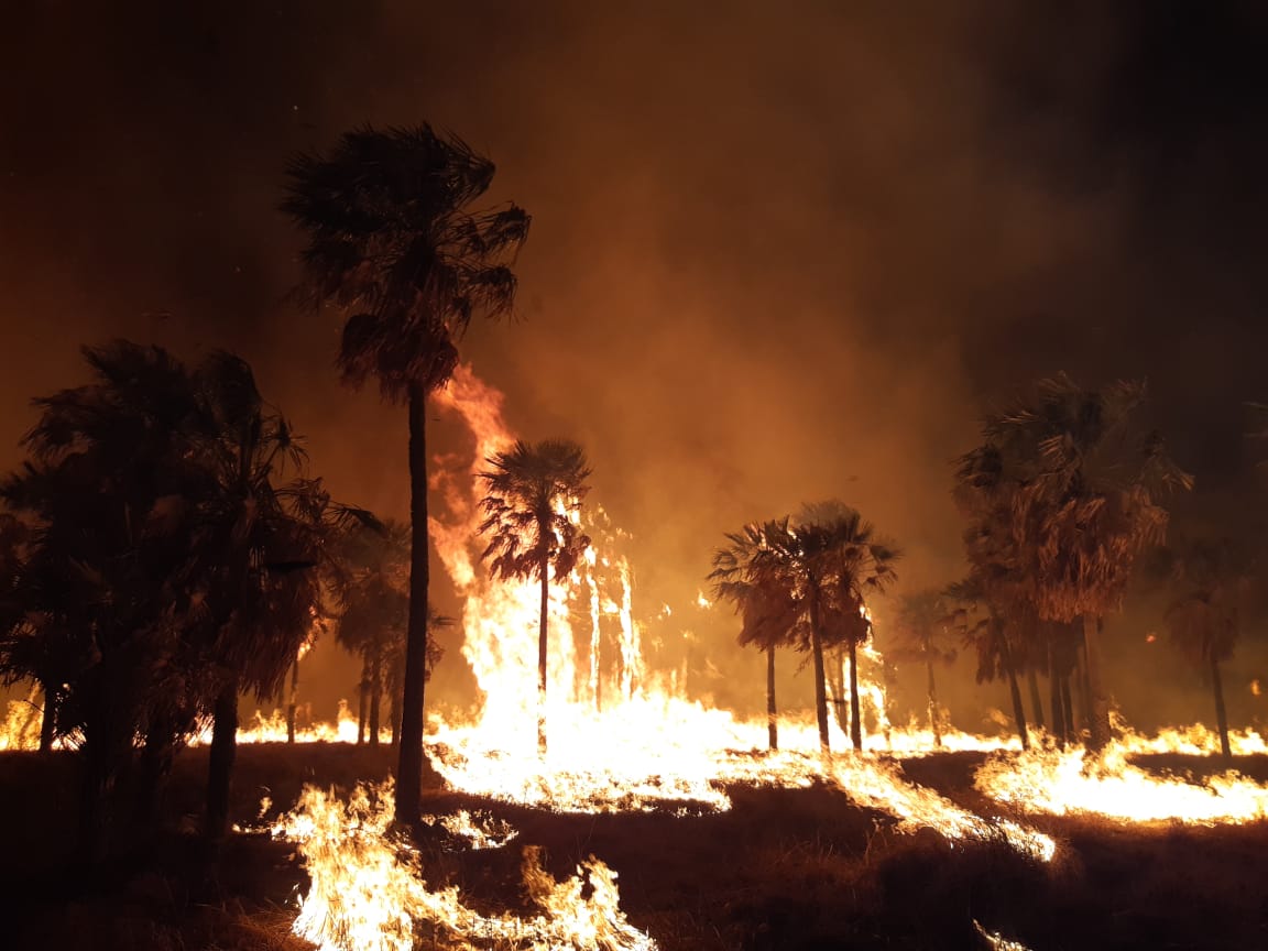 Más de 70 mil hectáreas fueron afectadas por incendios rurales en la provincia