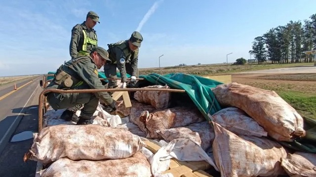 Corrientes: Demoran un camión que llevaba 6 toneladas de droga en un cargamento de mandioca