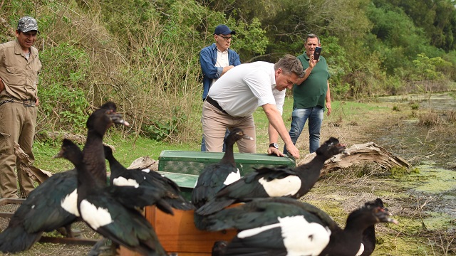 El Gobernador Zdero acompaño la liberación de animales que fueron rescatados del tráfico ilegal y de accidentes