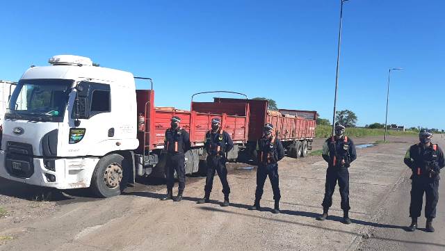 Santa Sylvina: Secuestran camión por no contar con guía forestal que respalden la carga de postes