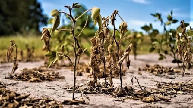 Preocupación por La Niña y el cuadro de sequía que se viene para el resto de la primavera