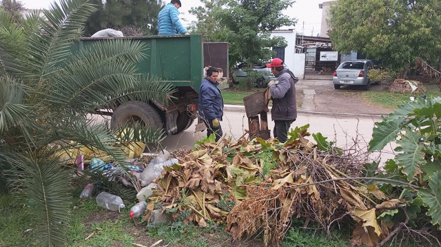 Villa Angela: Operativo de juntado y recolección de ramas y podas 