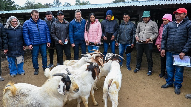 El Sauzalito: El Gobernador Zdero entregó reproductores caprinos para promover el desarrollo ganadero de la zona 