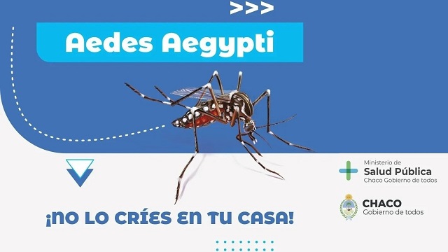 Desde el 01 de enero, Chaco acumula 6.707 casos de dengue