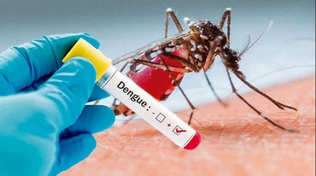 Detectan el primer caso de dengue en Las Breñas