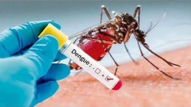 Salud Pública brinda el parte epidemiológico de Dengue y Chikungunya