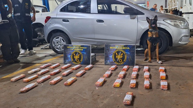 Consumos Problemáticos puso fin a la “Banda del Delfín”: Cayeron otros 3 implicados
