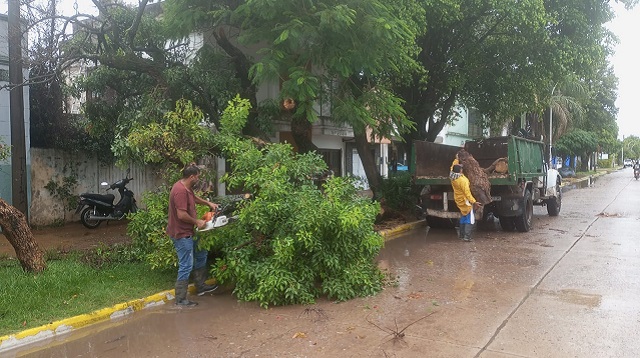Villa Angela: Tras las lluvias, medioambiente realiza tareas de limpieza de ramas y &aacute;rboles ca&iacute;dos 