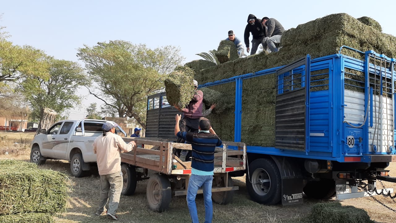 La Municipalidad realizó entrega de alfalfa a pequeños productores  