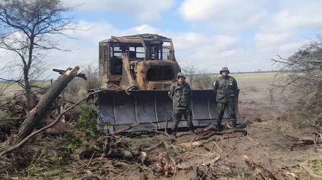 Bosques: Secuestran maquinaria y cargamento ilegal de quebracho colorado 