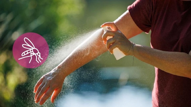 Salud recuerda medidas claves para evitar criaderos de mosquitos 