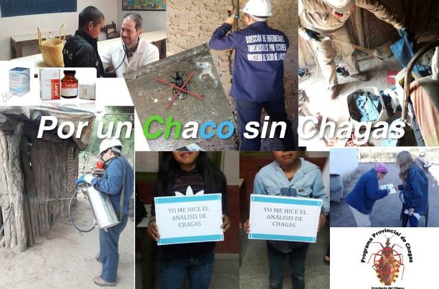 El Programa Provincial de Chagas brinda tratamiento y trabaja para prevenir la enfermedad 