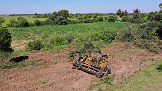 Corzuela: Bosques detuvo otro desmonte ilegal 