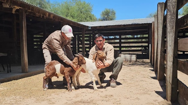 El Gobierno Provincial Fortalece a los Pequeños Productores con asistencia técnica y desarrollo territorial 