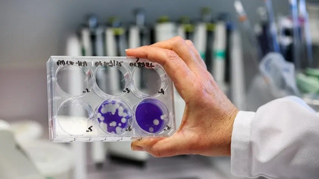 Confirmaron el primer caso de gripe H3N2 en Chaco