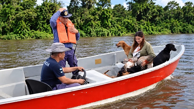La Policía del Chaco asiste a Familias y rescata animales afectados por la crecida de los Ríos