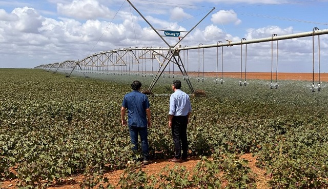 Posibles Inversiones en Algodón y Frutas: En Brasil, Capitanich recorrió dos Empresas Agroindustriales 