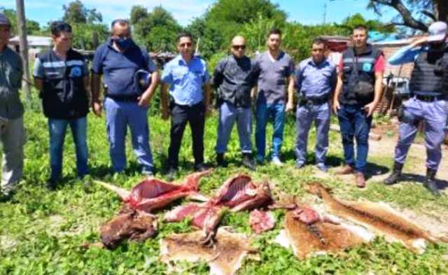 Robaron ciervos del Complejo Ecológico Municipal y la Policía los atrapó cuando los estaban asando