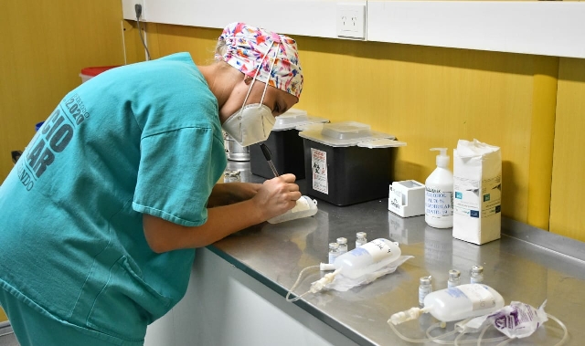 Salud Pública adquirió mil dosis de suero equino hiperinmune para para el tratamiento de pacientes Covid-19 