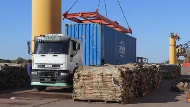 Chaco: Fuerte crecimiento económico en exportaciones y Zdero anuncia Agencia de Inversiones  