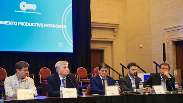 Gobernadores patag&oacute;nicos pidieron al Congreso el tratamiento &ldquo;urgente" de la ley de Emergencia &Iacute;gnea