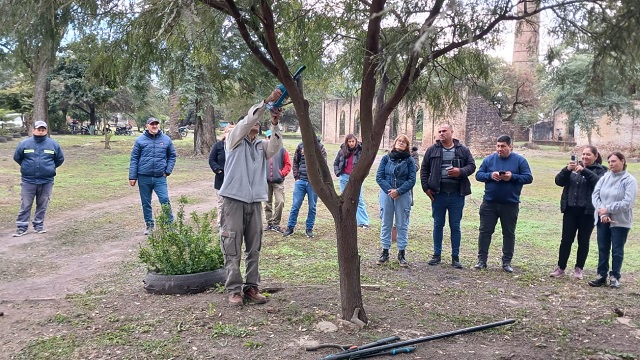 Personal Municipal se capacita en poda de arbolado urbano 