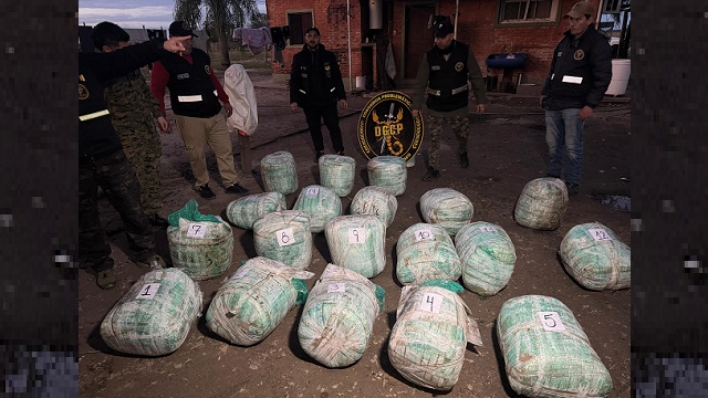 Duro golpe a las Narcos Bandas: Más de 230 kilos de marihuana incautados, tras allanamiento en un campo en La Leonesa