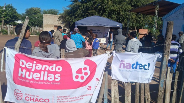 CASTELLI: EL PROGRAMA &ldquo;DEJANDO HUELLAS&rdquo; BRIND&Oacute; ATENCI&Oacute;N A M&Aacute;S DE 250 ANIMALES