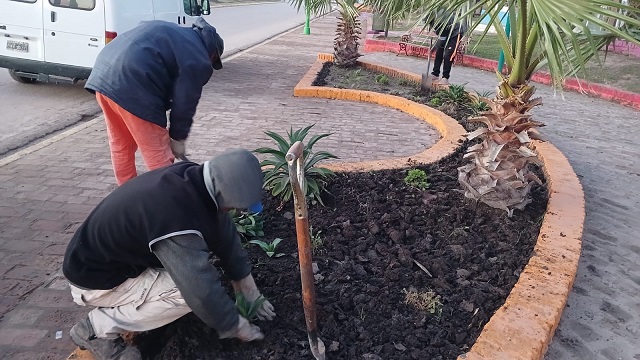 Villa &Aacute;ngela embellece sus espacios verdes