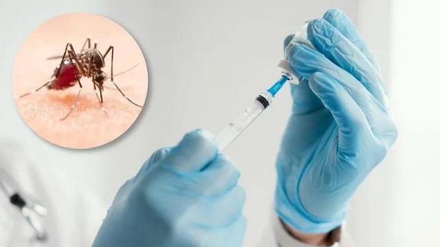 Chaco comienza la vacunación contra el dengue