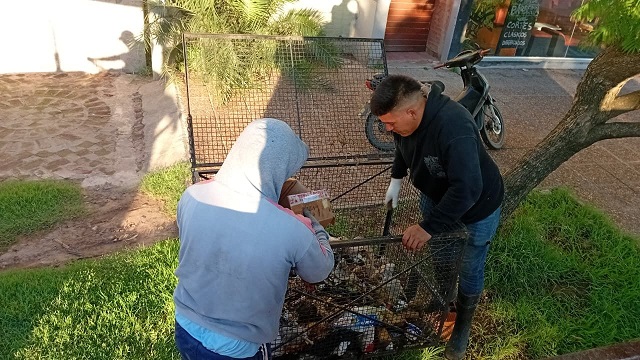 Villa &Aacute;ngela: Servicio de recolecci&oacute;n de residuos 